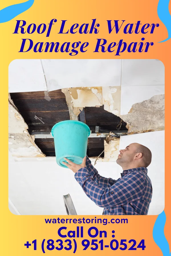 Roof Leak Water Damage Repair in Fairdale, ND